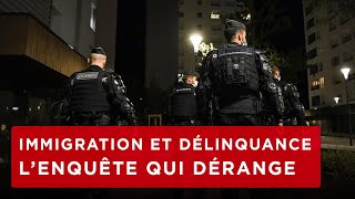 Documentaire Immigration et délinquance – L’enquête qui dérange – Episode 1