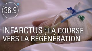 Infarctus : la course vers la régénération
