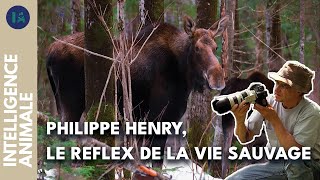 Into the Wild : la vie d’un photographe animalier