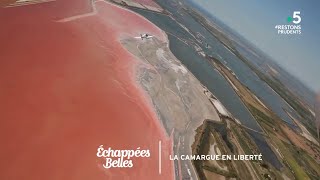 La Camargue en liberté