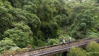 La Martinique, terre de randonnée