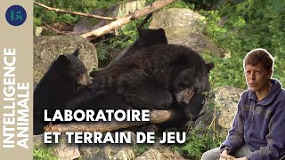 La Mauricie: un écosystème foisonnant mais fragile