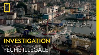 Le marché clandestin derrière le plus grand port de pêche en Europe