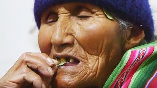 Les Boliviens sont dingues de la coca