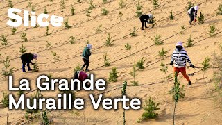Les Dompteurs de sables du désert de Gobi