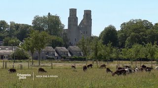 Documentaire Les chèvres de Jumièges