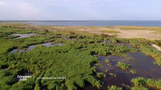 Documentaire Les paysages camarguais, un trésor à préserver