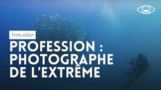 Documentaire Mon métier ? Photographe sous-marin