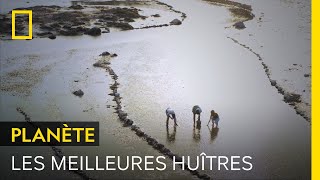 Documentaire North Haven, l’île qui fournit les huîtres des meilleurs restaurants américains