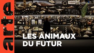 Notre évolution s’accélère-t-elle ?
