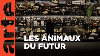 Documentaire Notre évolution s’accélère-t-elle ?