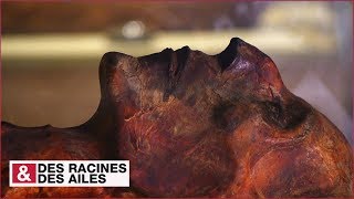 Documentaire Ramsès II : la momie qui défie le temps