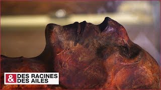 Ramsès II : la momie qui défie le temps