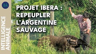 Réhabiliter la faune sauvage d'Argentine