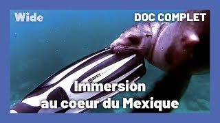 Roadtrip dans les contrées les plus sauvages du Mexique