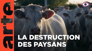 Sacrifice paysan | La vie en face