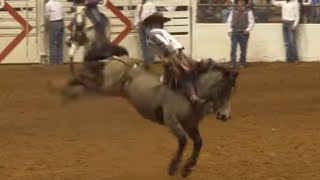 Salon du cow-boy, Texas : la fête la plus folle des Etats-Unis