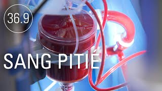 Documentaire Sang pitié