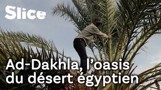 Documentaire Une oasis dans le redoutable désert égyptien