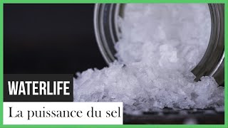 Documentaire Waterlife: La puissance du sel