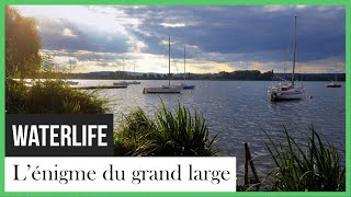 Documentaire Waterlife: L’énigme du grand large
