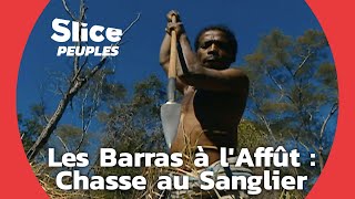 À la poursuite du roi de la forêt