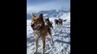 Documentaire Alpes du Sud – Les grands espaces d’Orcières-Merlette