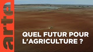 Agriculture et effet de serre
