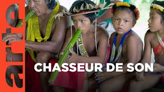 Documentaire Amazonie : les murmures de la forêt