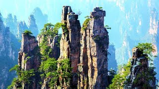Ce parc, c'est la planète d'Avatar en vrai !