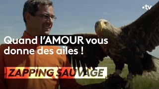 Cet homme apprend aux aigles à voler