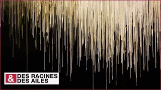 Choranche : la forêt de fistuleuses