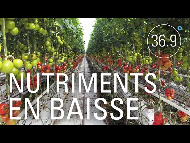 Documentaire Fruits et légumes trop pauvres en micronutriments: attention carences!