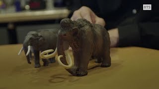 Documentaire Génétique : pourquoi ressusciter des mammouths ?