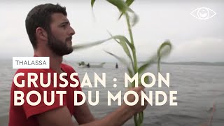 Gruissan, mon bout du monde