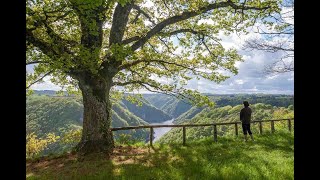 Haute Corrèze - Du Longeyroux au Mont Bessou