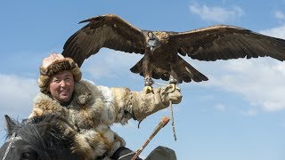 Documentaire Il dresse un aigle pour chasser à sa place