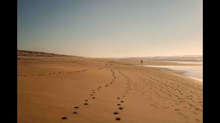 Documentaire Landes – Seignosse, entre forêt et océan