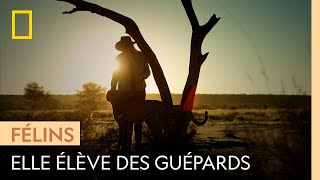 La femme qui chuchote à l'oreille des guépards