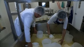 Documentaire Le fromage fermier en plein essor chez nos amis canadiens
