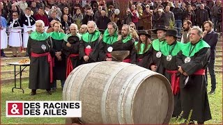 Documentaire Le vin béni des Corses
