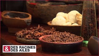 Documentaire Les épices : histoire et cuisine bretonne