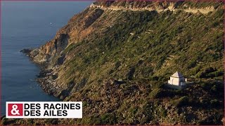 Les palais funéraires des Capcorsins