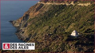 Documentaire Les palais funéraires des Capcorsins