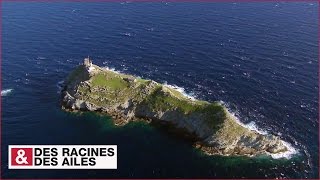 Documentaire Les tours génoises du Cap Corse