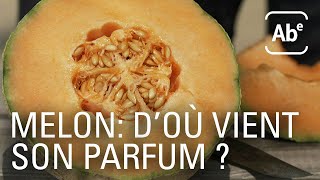 Melon: le secret de son parfum