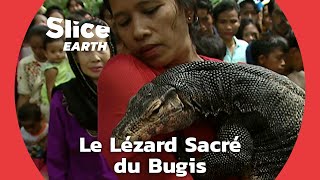 Mon fils, un varan