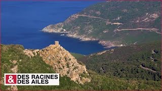 Documentaire Rando au Cap Corse : un panorama unique !
