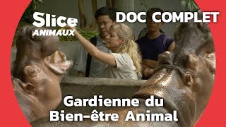 Documentaire Redonner vitalité et joie de vivre aux animaux en captivité