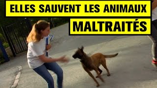 Respect ! Elles sauvent les animaux maltraités